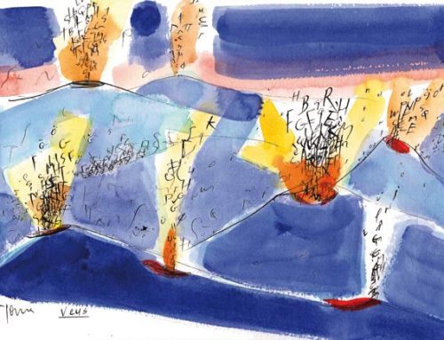 Revista N.97 de Reduccions