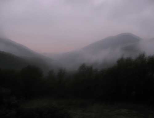 Revista N.101 de Reduccions